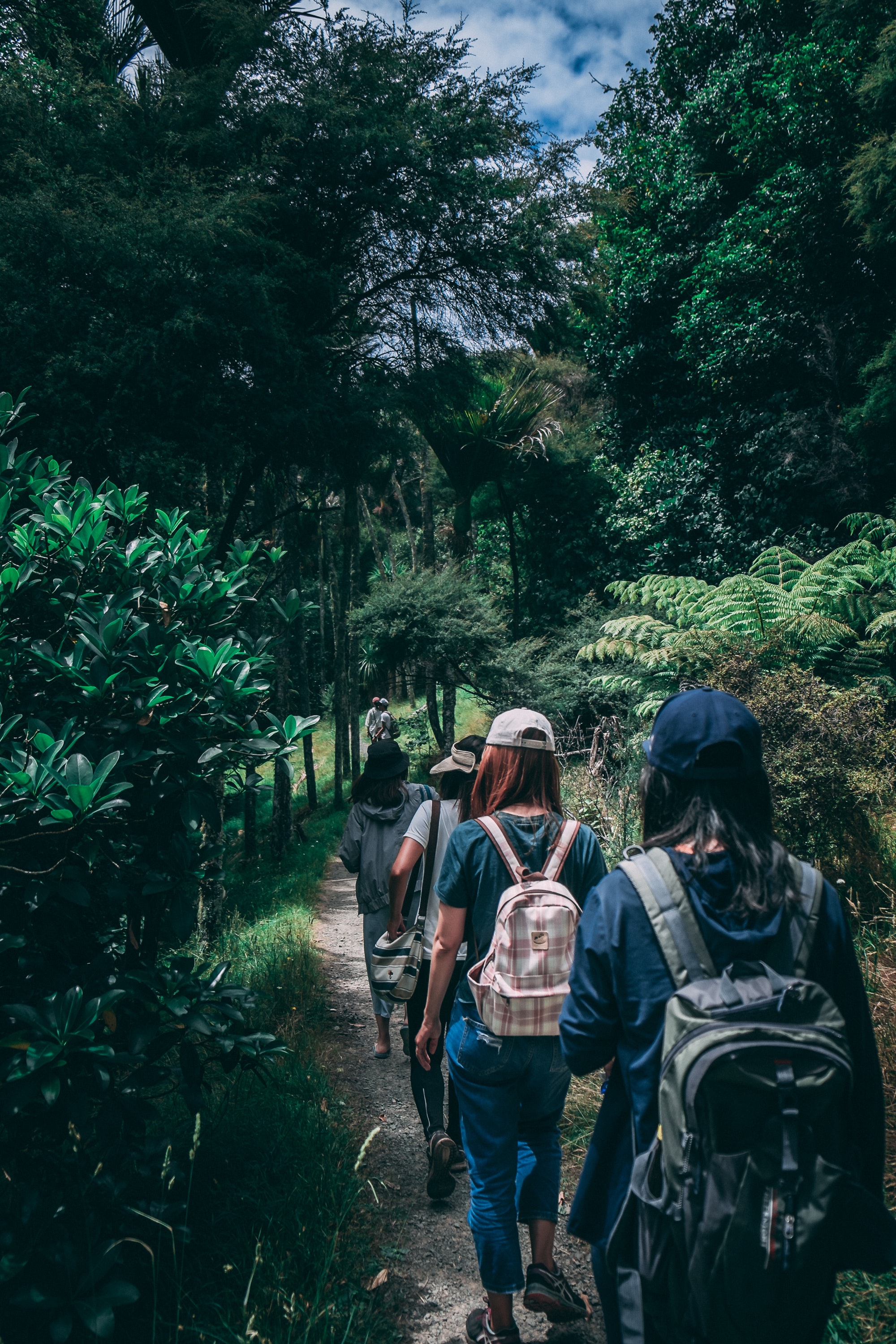 people-wearing-backpacks-walking-on-pathway-near-green-leaf-917510